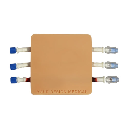 Intravenous (IV), Blood Draw & Phlebotomy Trainer - 3 Veins