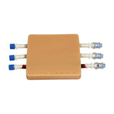 Intravenous (IV), Blood Draw & Phlebotomy Trainer - 3 Veins