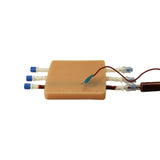 Intravenous (IV), Blood Draw & Phlebotomy Trainer - 3 Veins