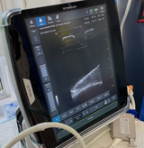 Thoracentesis Ultrasound Phantom