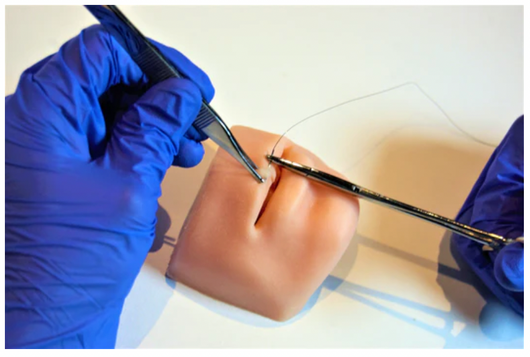FIRE SALE: FACIAL SUTURING MODELS