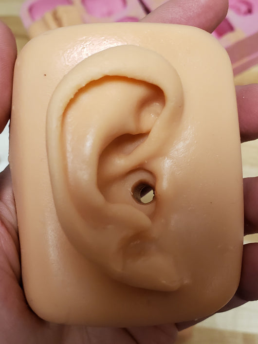 Ear Foreign Body Trainer