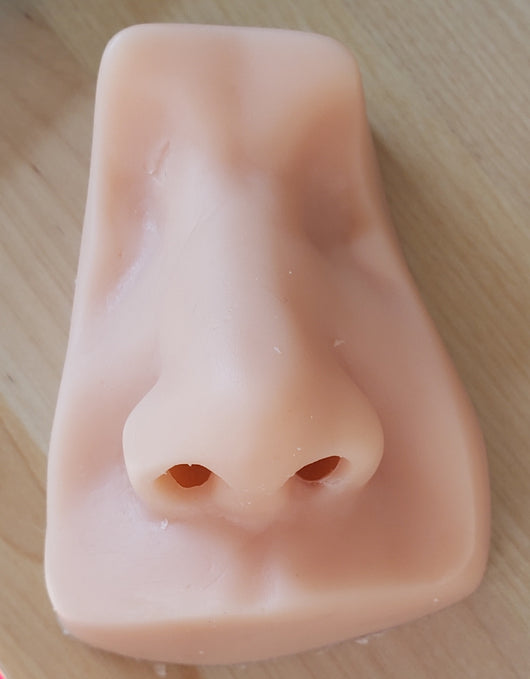 Nose  Foreign Body Trainer